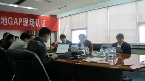 成都錦良策企業管理咨詢 專業商務信息咨詢的智慧之選